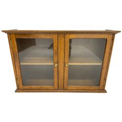 20th century low oak and glazed bookcase, double cupboard enclosing two shelves