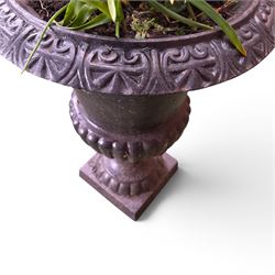 Victorian design cast iron garden centrepiece urn, egg and dart rim on tapering column, square plinth base, planted