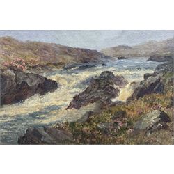 Haron ? (19th/20th century): River Rapids, oil on canvas laid on board indistinctly signed 23cm x 33cm