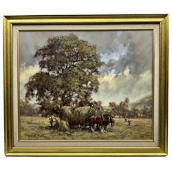 David Hyde (British 1949-): Harvest Scene with Shire Horses, oil on canvas signed 49cm x 59cm