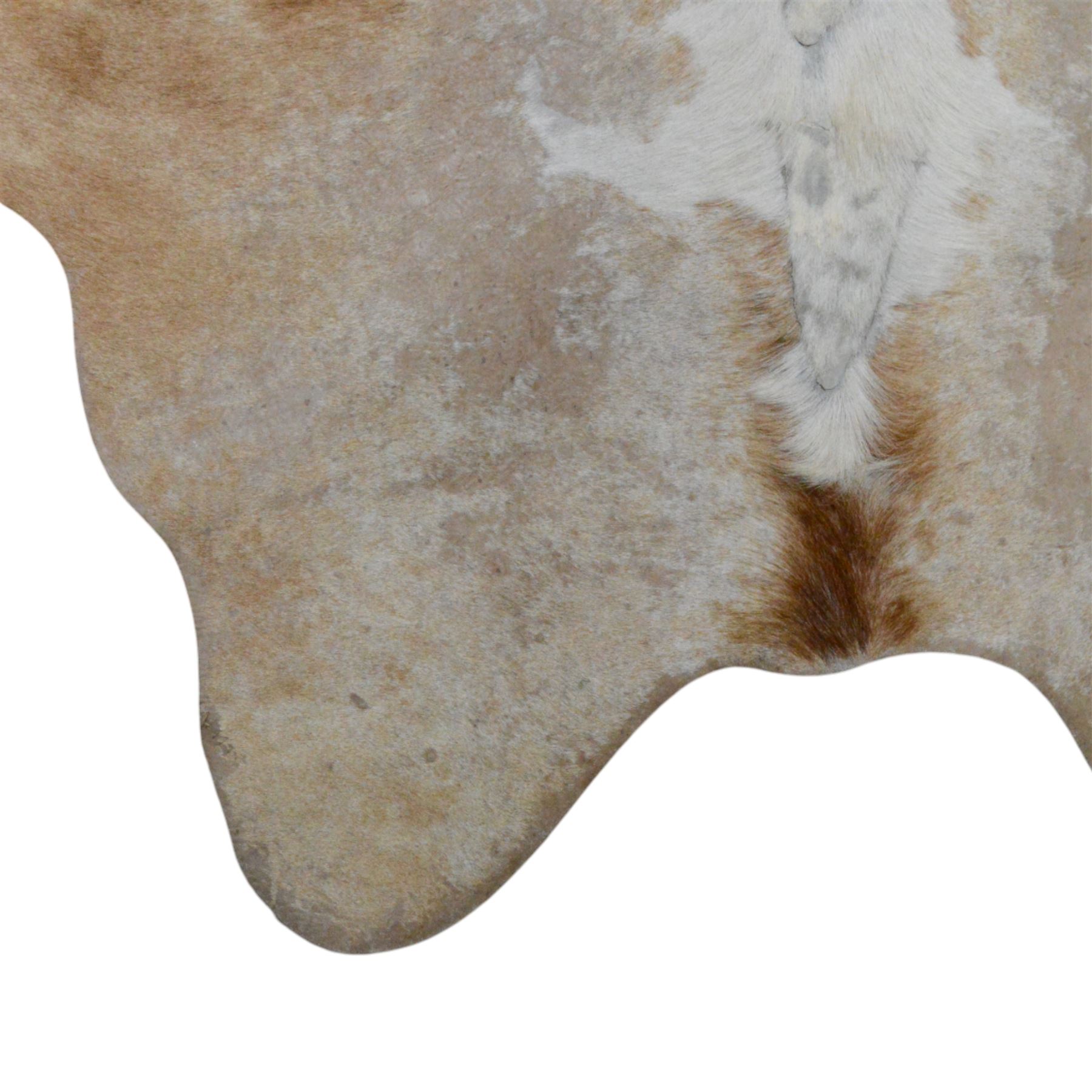 Skins/Hides: cow hide with brown and white dappled pattern together with another hide, possibly Mongolian goat