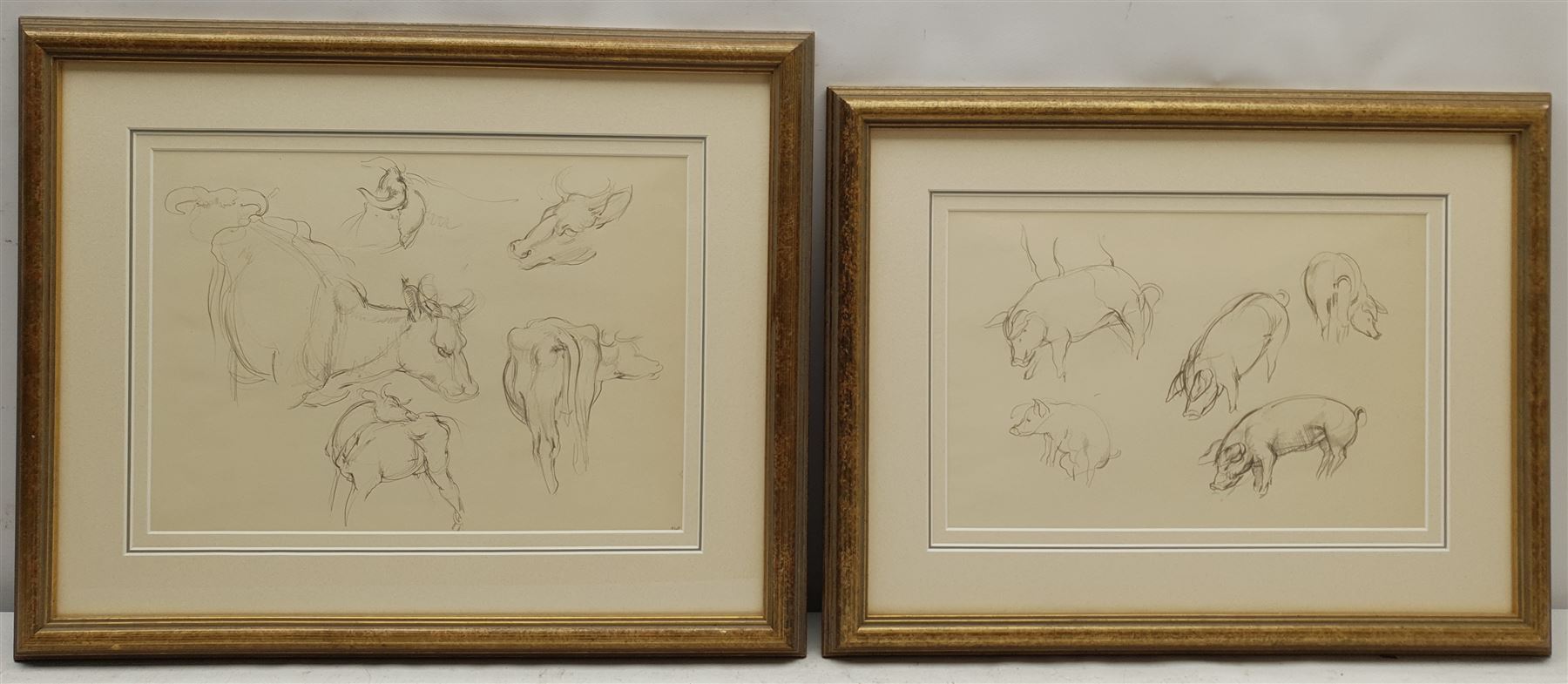Constance Anne Parker (British 1921-2016): Studies of Bulls and Pigs, two pencil sketches unsigned 24cm x 34cm and 21cm x 32cm (2)