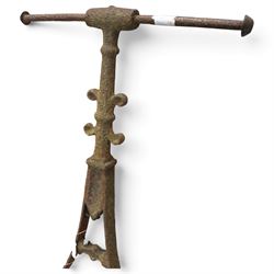 Edwardian cast iron garden lawn roller, handle over crocket-style spoke with moulded roundel medallion