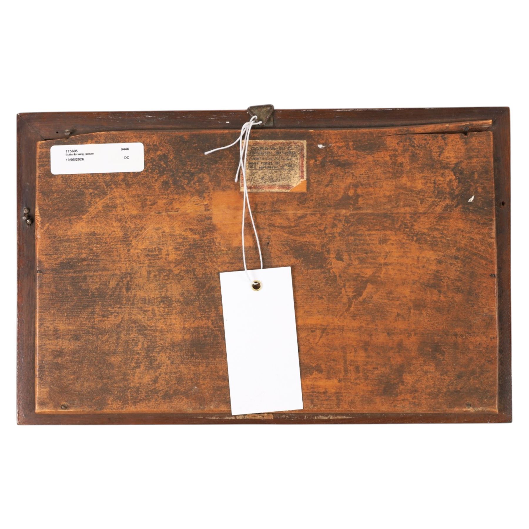 Mid-20th century butterfly wing picture, depicting the São Vicente Suspension Bridge in São Paulo, Brazil, titled 'Santos' lower-right, in inlaid frame, 18.5cm x 29cm overall
