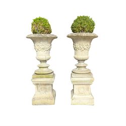 Pair of weathered composite stone campana urns on pedestals, the flared egg-and-dart rim over a tapering body with fruiting grapevine decoration in relief, over gadrooned underbelly, the rectangular pedestals moulded with floral garlands, planted