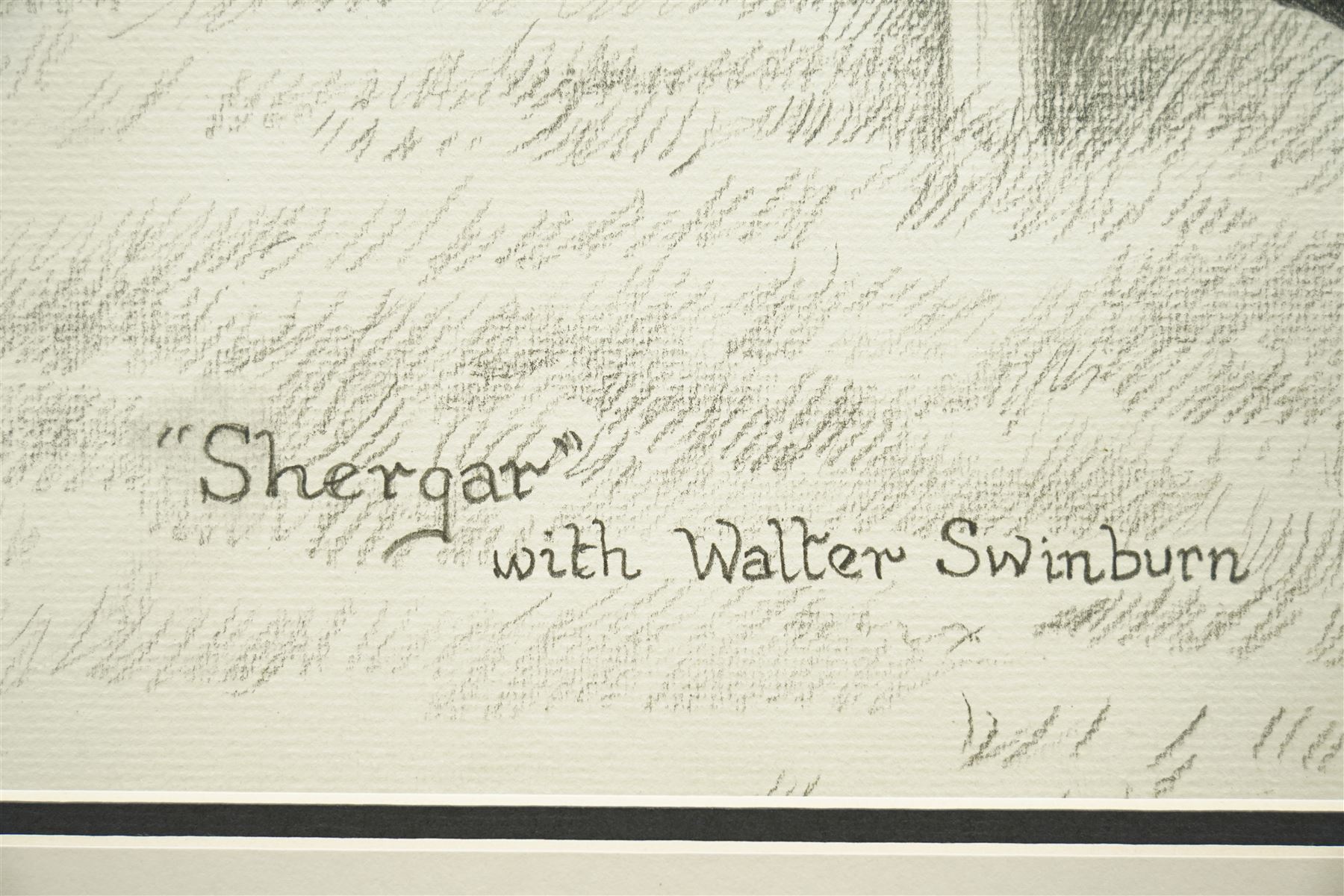 Sue Wingate (British 1947-2016): 'Shergar' with Walter Swinburn, pencil sketch signed titled and dated 1998, 37cm x 51cm; together with a print of 'Cigar' after Fred Stone, signed in pencil, 46cm x 44cm (2)