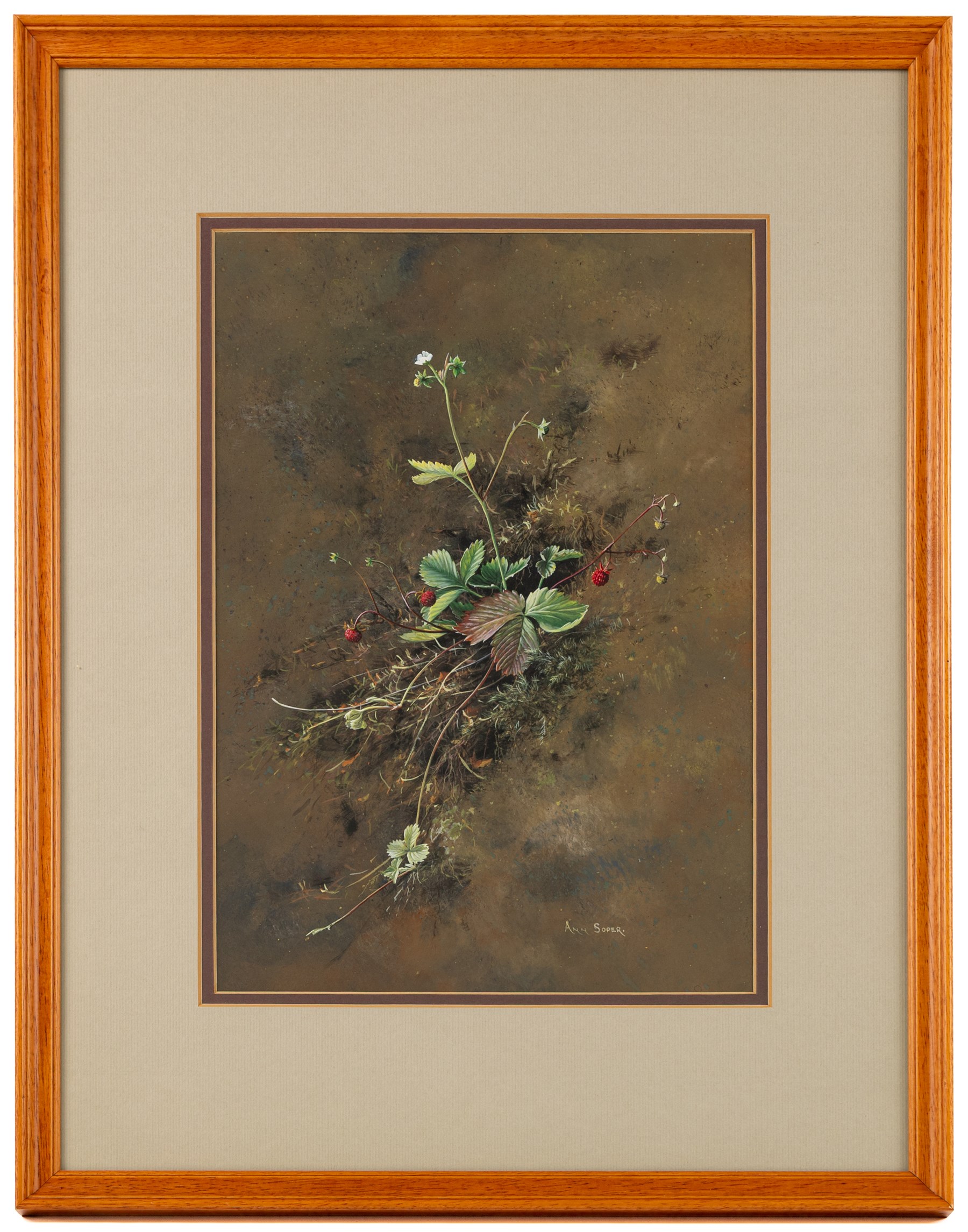Ann Soper (British 20th century): Study of a Strawberry Plant, gouache signed 34cm x 24cm
