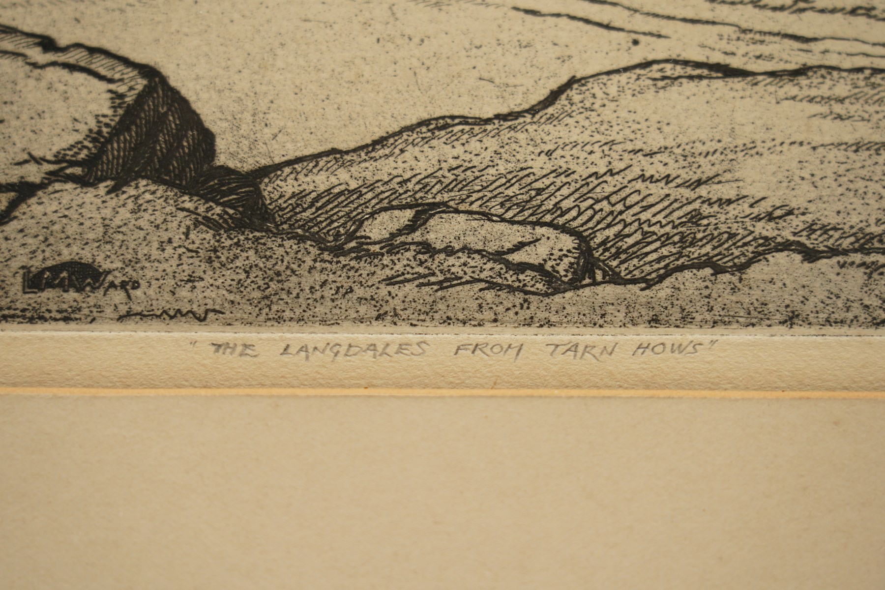 Philip Leslie Moffat Ward (British 1888-1978): 'The Langdales from Tarn Hows', monochrome etching signed titled and dated '54 in pencil 27.5cm x 35cm