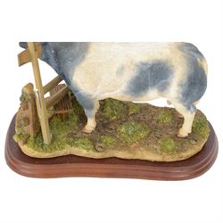 Two Border Fine Arts bull figures, comprising Belgian Blue Bull No A8953 and Limousin Bull No A9788