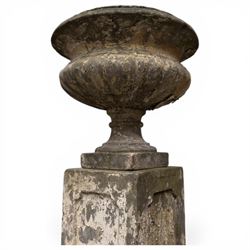 Pair of 20th century cast stone urns on plinths 