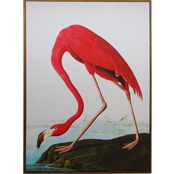  Portrait of a Flamingo, Hares and Lemon Tree, four contemporary prints on canvas max 110cm x 80cm (4)   