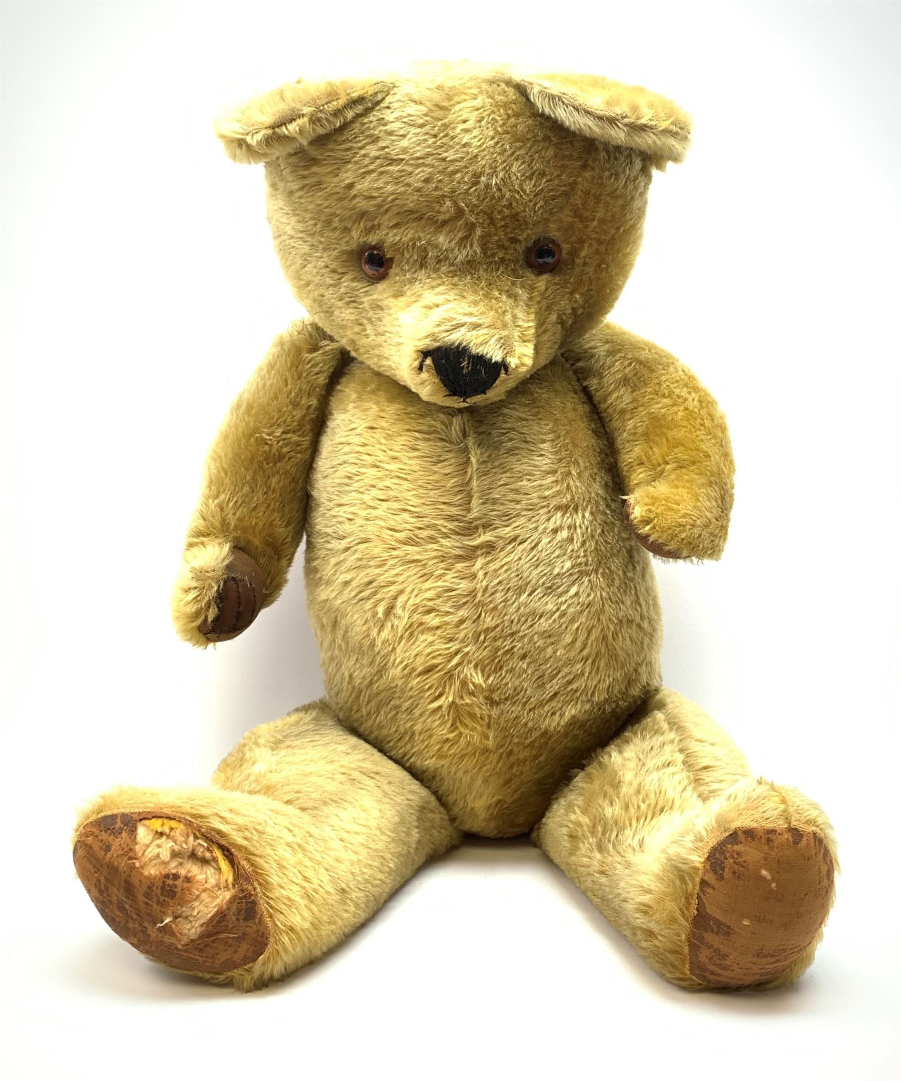 Very large Irish Tara bear c1950s with plush covered body, swivel jointed head with glass eyes and vertically stitched nose and mouth, jointed limbs with rexine pads and growler mechanism H37
