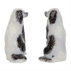 Pair of 19th century slip moulded pottery spaniels, circa 1840-1850, possibly Scottish, modelled with free standing forelegs and moulded fur with dark brown detailing and yellow glazed collars and padlocks upon a white ground, H17.5cm