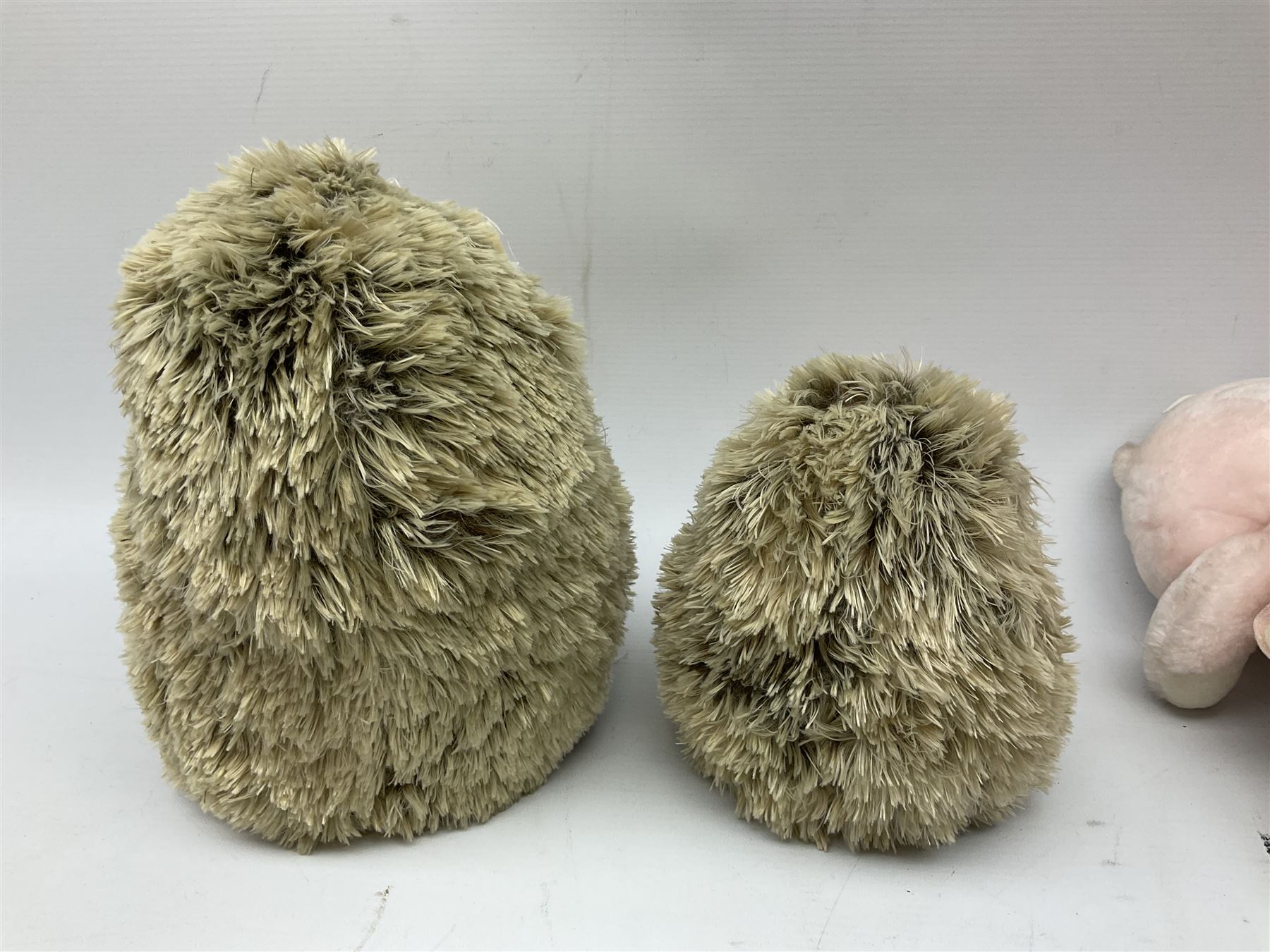 Ten soft tots including Chad Valley Lenny the Lion; Snoopy type dog; Fluffy Hedgehogs; pink Care Bear; souvenir bears for Niagara Falls, Benjamin Franklin and Andre Rieu; Rocky Mountaineer Traindriver; knitted Mrs. Tiggy-Winkle etc; all unboxed (10)
