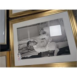 Collection of cricket memorabilia, including three black and white prints of Sir Ian Botham, colour print of Sir Ian Botham, signed limited edition Ashes Winners print, and a framed piece of The Times 1895, all framed, largest H70cm