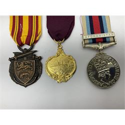 Twelve copy medals including for Operational Service, Gulf Medal, South Atlantic Medal, Iraq Medal, General Service Medal, Air Crew Europe Star, RMS Carpathia etc; all with ribbons (12)