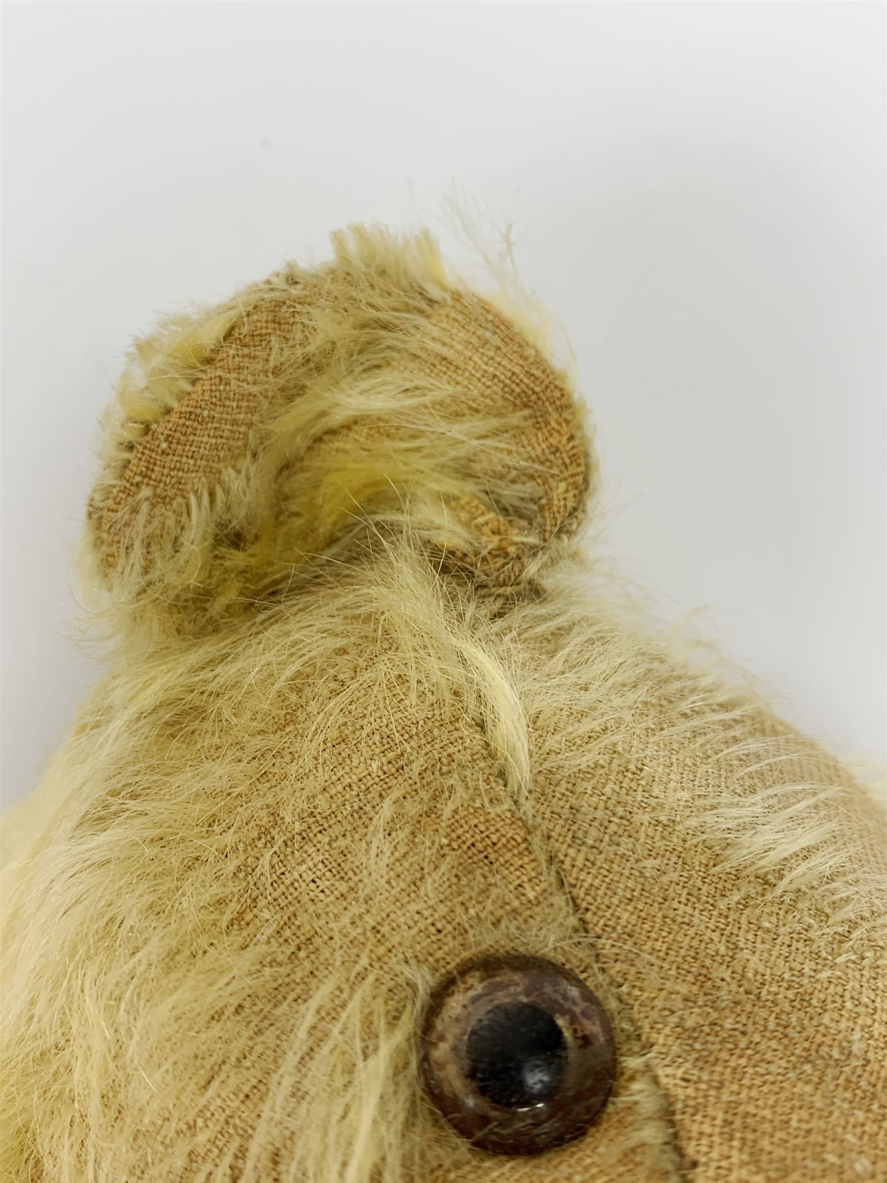 1930s teddy bear, possibly Farnell, with wood wool filled blond mohair body, the revolving head with original clear glass eyes, shaved muzzle with vertically stitched nose and mouth and jointed limbs with five-stitch claws H18.5