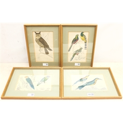 Ornithological Studies, set four hand-coloured engravings c.1856 from Oliver Goldsmith's 'A History of the Earth, and Animated Nature' 22cm x 13cm (9)