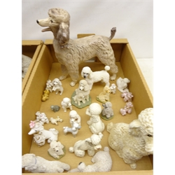 Large collection of Poodle ceramic & composite models comprising Melba ware, Sylvac, Beswick, continental makers etc (qty)  