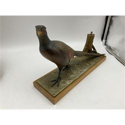 Austrian cold painted spelter table lighter modelled as a pheasant beside a tree stump, on rectangular oak plinth, L31.5cm x H21cm 