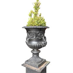 Pair of Victorian cast iron campana form garden urns, the gadrooned flared edge over a scrolling acanthus relief body, with twin male mask handles to each side, over a lobed underbelly with fluted socle, the rectangular pedestals with relief floral garlands and stepped base, in rustic black-painted finish, planted