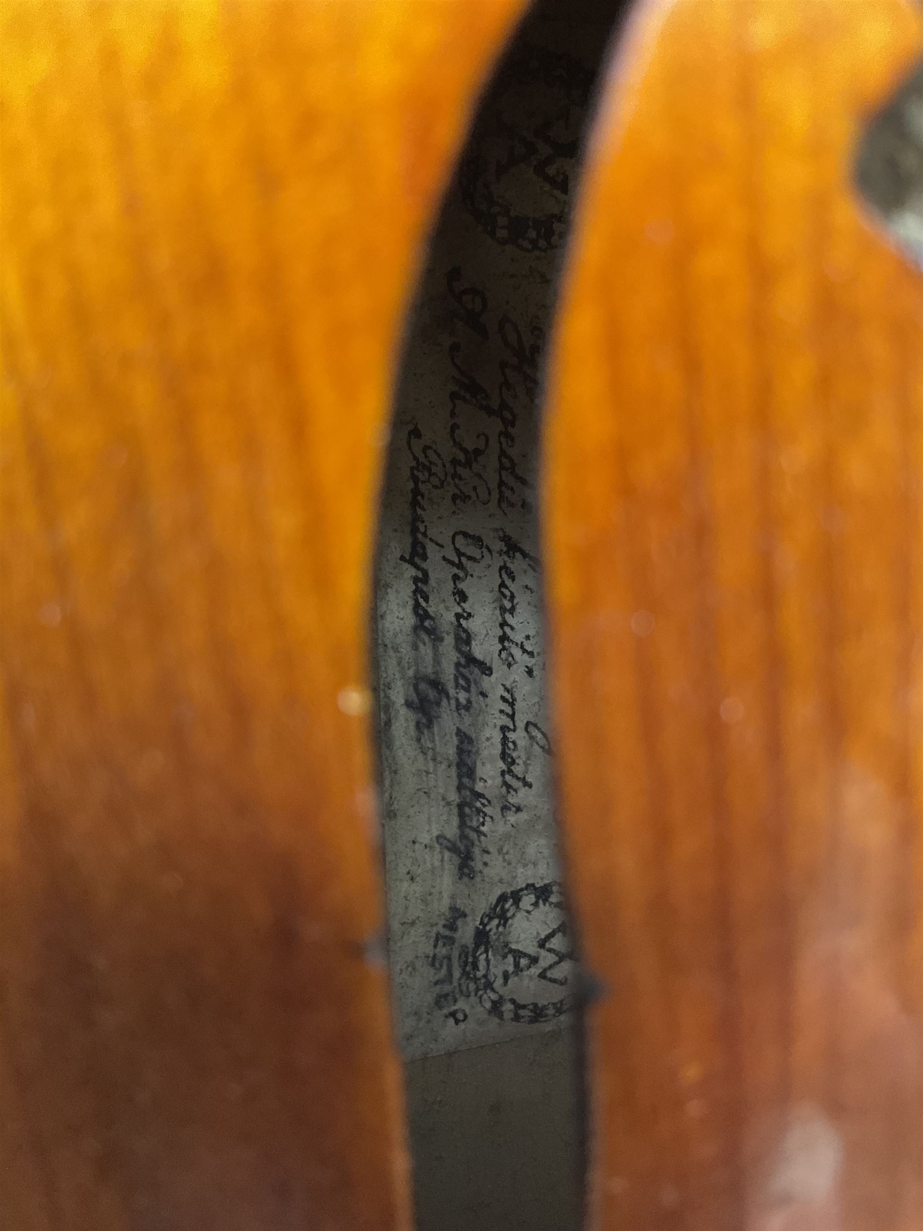 1920s continental large viola with 42cm two-piece maple back and ribs and wide grain sprucewood top with guarnerie sound holes, bears label 'Werner Alajos Budapest', overall length 69cm; in modern carrying case