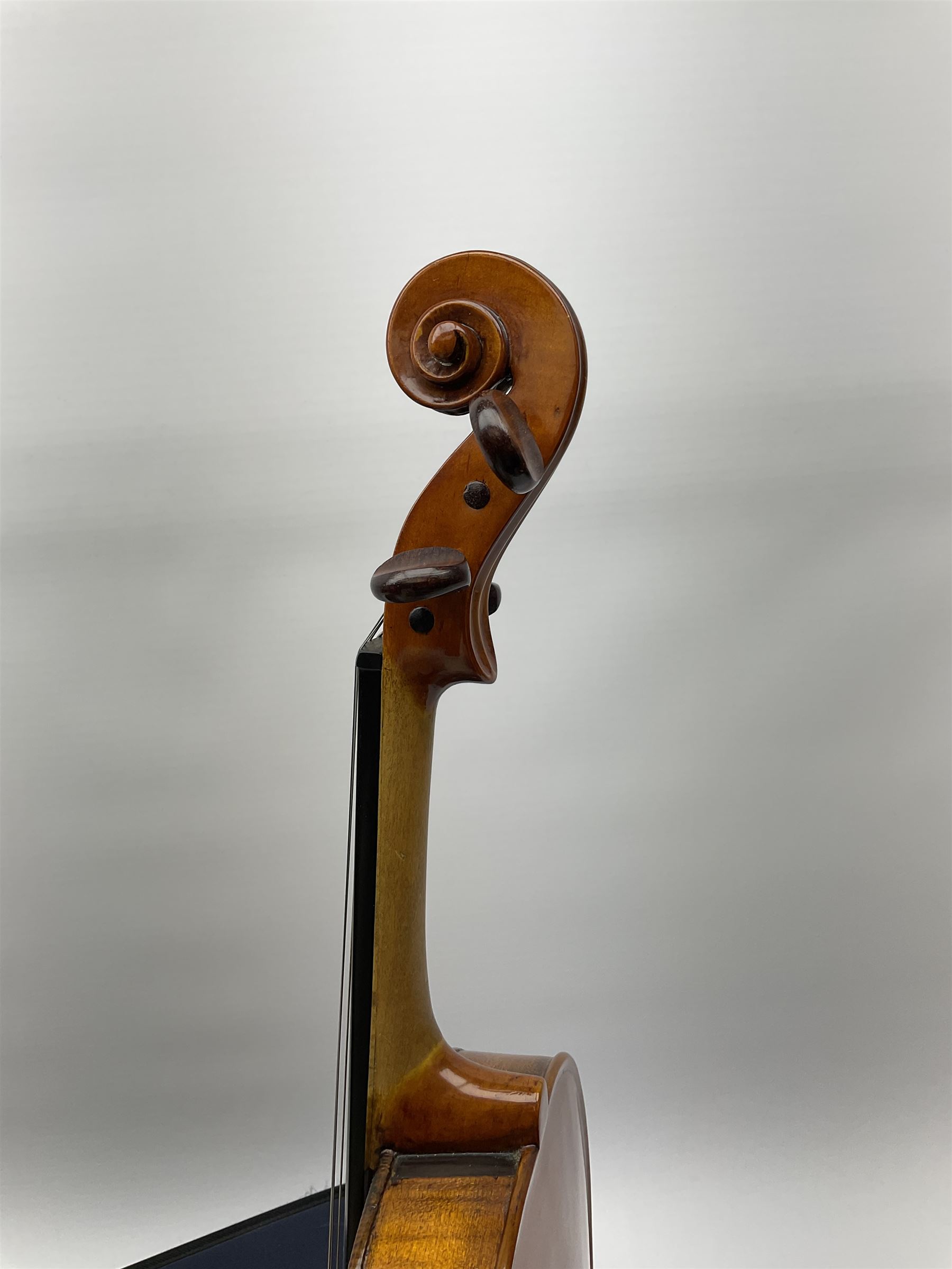 1920s continental large viola with 42cm two-piece maple back and ribs and wide grain sprucewood top with guarnerie sound holes, bears label 'Werner Alajos Budapest', overall length 69cm; in modern carrying case