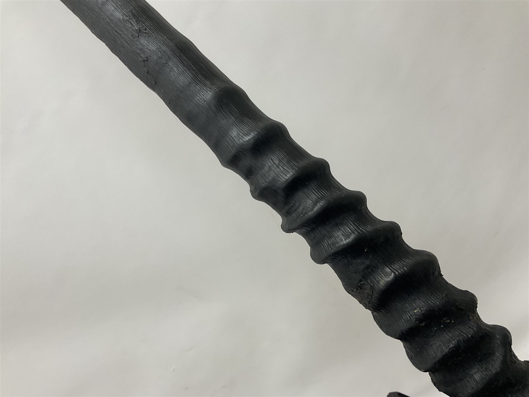 Antlers/Horns: Gemsbok Oryx (Oryx gazella gazella), pair of oryx curved horns on partial skull, mounted on an ebonised shield, H130cm