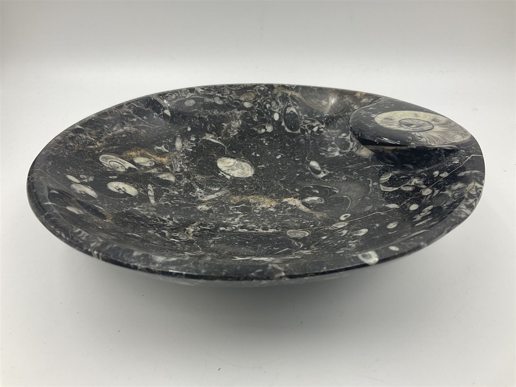 Circular dish with a raised goniatite, with orthoceras and goniatite inclusions, age: Devonian period, location: Morocco, D22cm, H5cm
