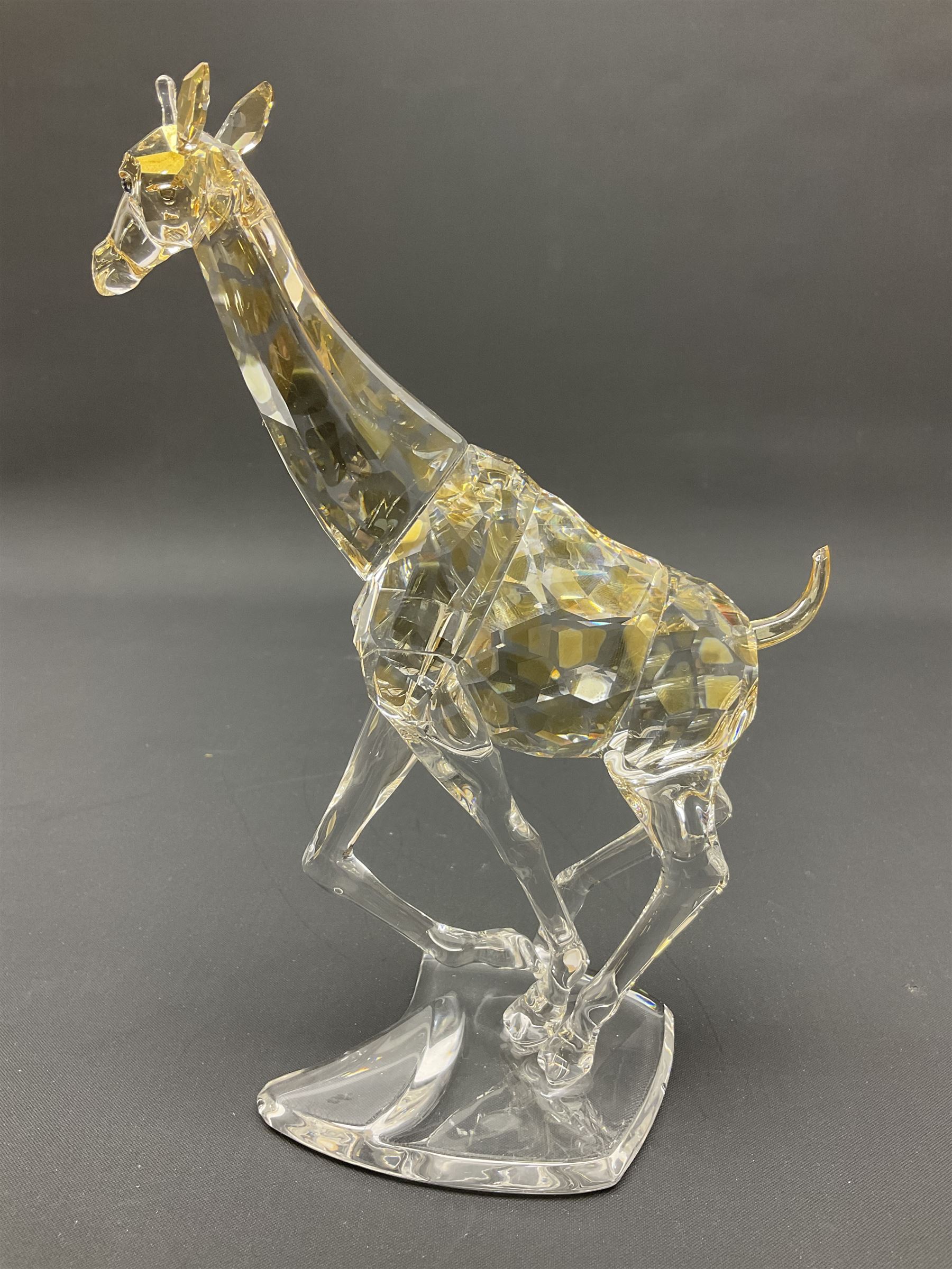 Swarovski Crsytal Society coloured animals, comprising zebra, giraffe and water buffalo, tallest H17.5cm