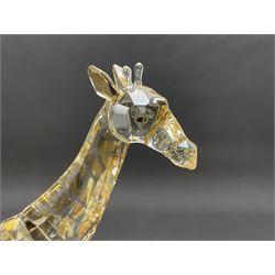 Swarovski Crsytal Society coloured animals, comprising zebra, giraffe and water buffalo, tallest H17.5cm