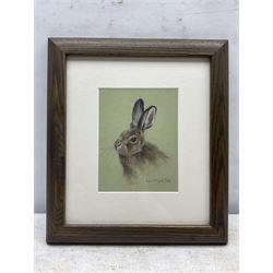 John Naylor (British 1960-): Rabbit, pastel signed and dated 2011, 13cm x 17cm