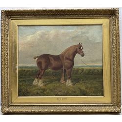 Albert Clark Snr. (British 1821-1909) and Albert James Clark (fl.1890-1943): 'Royal Sandy' Portrait of a Shire Horse in Landscape, oil on canvas signed  'Albert Clark and Son' and dated 1895, original artist's visiting card verso 50cm x 60cm