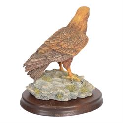 Four Border Fine Arts bird figures, comprising Patience, Courting Grebes, Barn Owl RB15and Golden Eagle RB40, all on wooden plinths, tallest H24cm