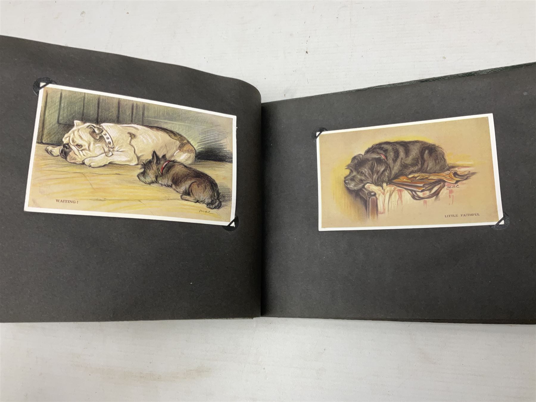 Three albums of cigarette cards including Wills Recruiting Posters, Military Motors and Allied Army Leaders, cricketers etc; another album containing a large quantity of laid-in cigarette cards; and an album of thirty-seven postcards of dogs by Mac (5)