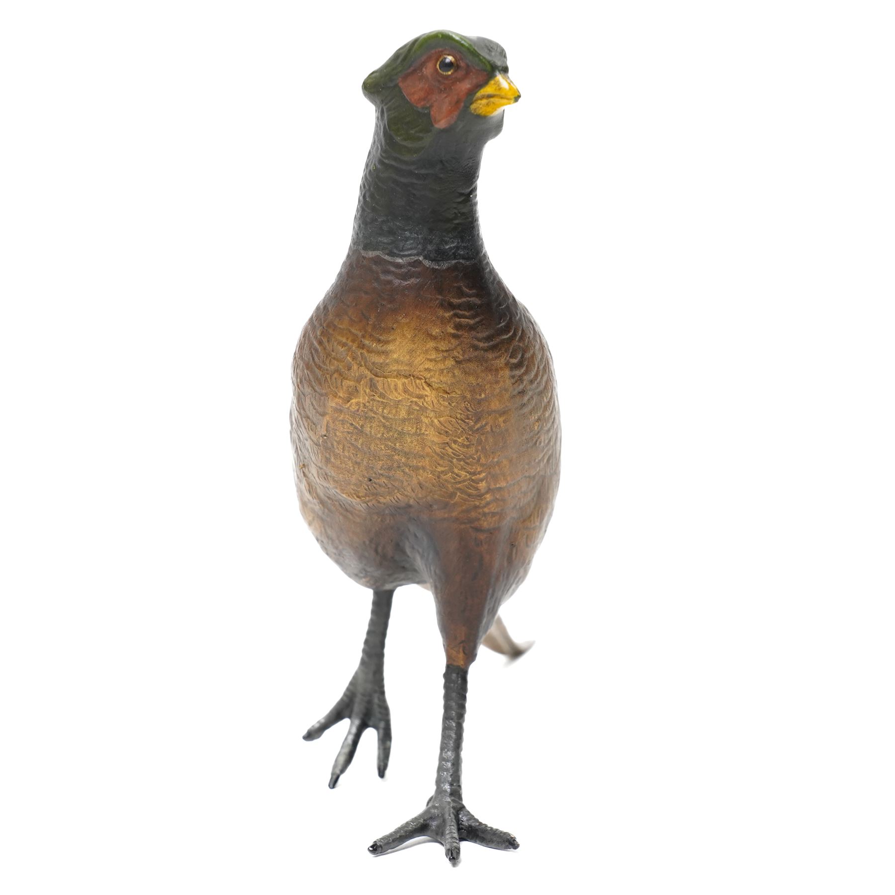 Cold painted bronze formed as an alert Pheasant, W30cm
