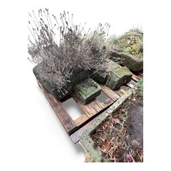 Two 19th century stone troughs with small stone planter