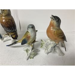 Seven Karl Ens bird figures, including barn owl, eagle owl, blue tit, budgerigar etc, all with mark beneath, tallest H17cm 