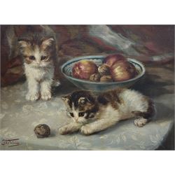 Johannes Wouterus Van Trirum (Dutch 1924-2011): Kittens and a Pesky Walnut, oil on canvas signed 18cm x 38cm 