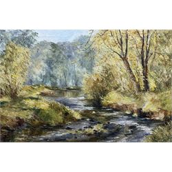 Sheila G Johnson (nee Spence) (British 20th century): 'Spring on Broad Beck' Thirsk, oil on canvas signed, titled on label verso 40cm x 60cm 
Notes: Sheila was the wife of Thornton-le-Dale artist Ken Johnson.