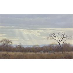 Wim Kosch (South African Contemporary): 