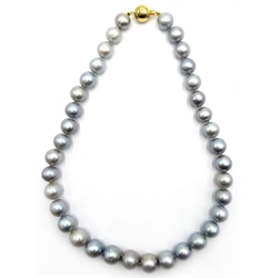  Single strand graduating large silver/light blue pearls with 9ct gold clasp stamped 375  