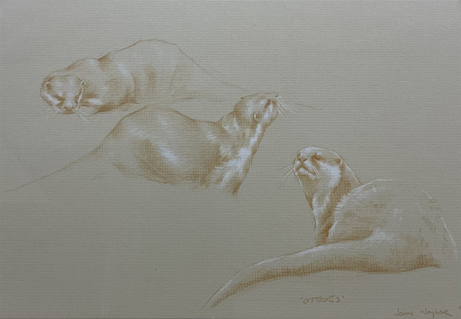 John Naylor (British 1960-): 'Otters', crayon and chalk signed titled and dated '93, 24cm x 33cm