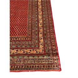 Persian Arak crimson ground carpet, the field decorated profusely with small repeating Boteh motifs, enclosed by multiple border bands decorated with repeating geometric and hook motifs