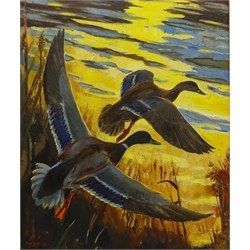 Sir Peter Markham Scott (British 1909-19