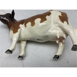Five Beswick figures of cattle Comprising Ayrshire Bull Ch Whitehill Mandate, no 1454B, three Ayrshire Cow Ch Ickham Bessie, no 1350 and Ayrshire Calf, no 1249B, all with printed marks beneath