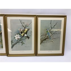 After Basil Ede (British 1931-2016): Bird Studies, set eight colour prints 30cm x 20cm (8)