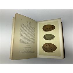 Seebohm, Henry; 'Coloured Figures of the Eggs of British Birds', Hulme, F Edward; 'Butterflies and Moths of the Countryside' and Thorburn, Archibald: British Birds, two volumes, all with coloured plates 