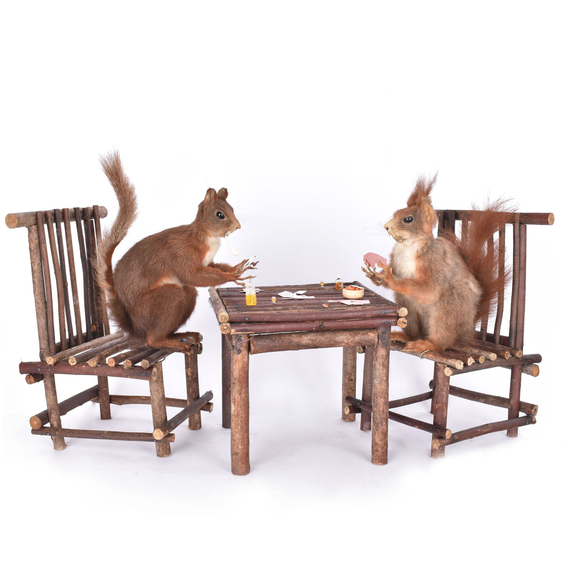 Anthropomorphic Taxidermy: Two red squirrels (Sciurus vulgaris), both seated upon a chair holding playing cards, one smoking a pipe 