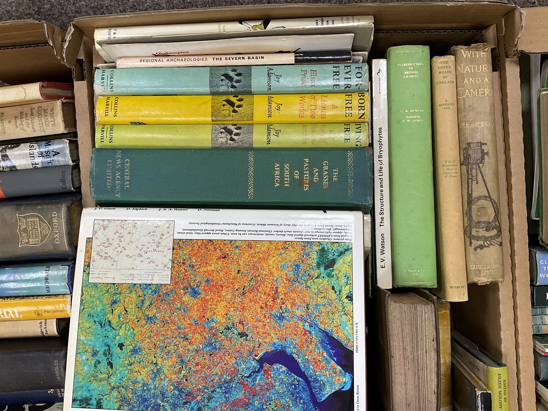 Collection of natural history books, including Lloyd's natural history books, four volumes, Insects of the British woodlands, Flowers of the field Johns & Elliott, Textbook of Theoretical Botany three volumes etc, seven boxes 